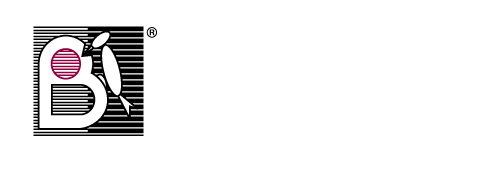 logo brusa ita white